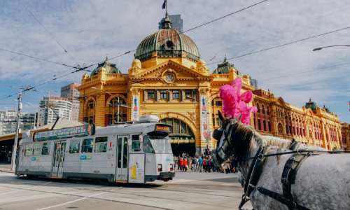 Mt Hotham to Melbourne transfer snow coach service 